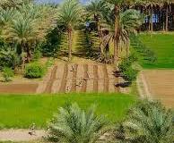 IMG-20240527-WA0037
