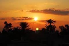 IMG-20240527-WA0041