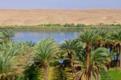 IMG-20240527-WA0048